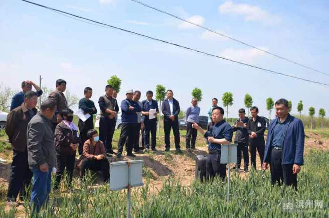 科技特派員賦能濱州田野，精準服務播撒鄉村振興新希望