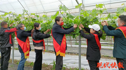 鹽城勞模愛(ài)心團(tuán)隊(duì) 科技助農(nóng)，護(hù)航春耕防疫“兩不誤”
